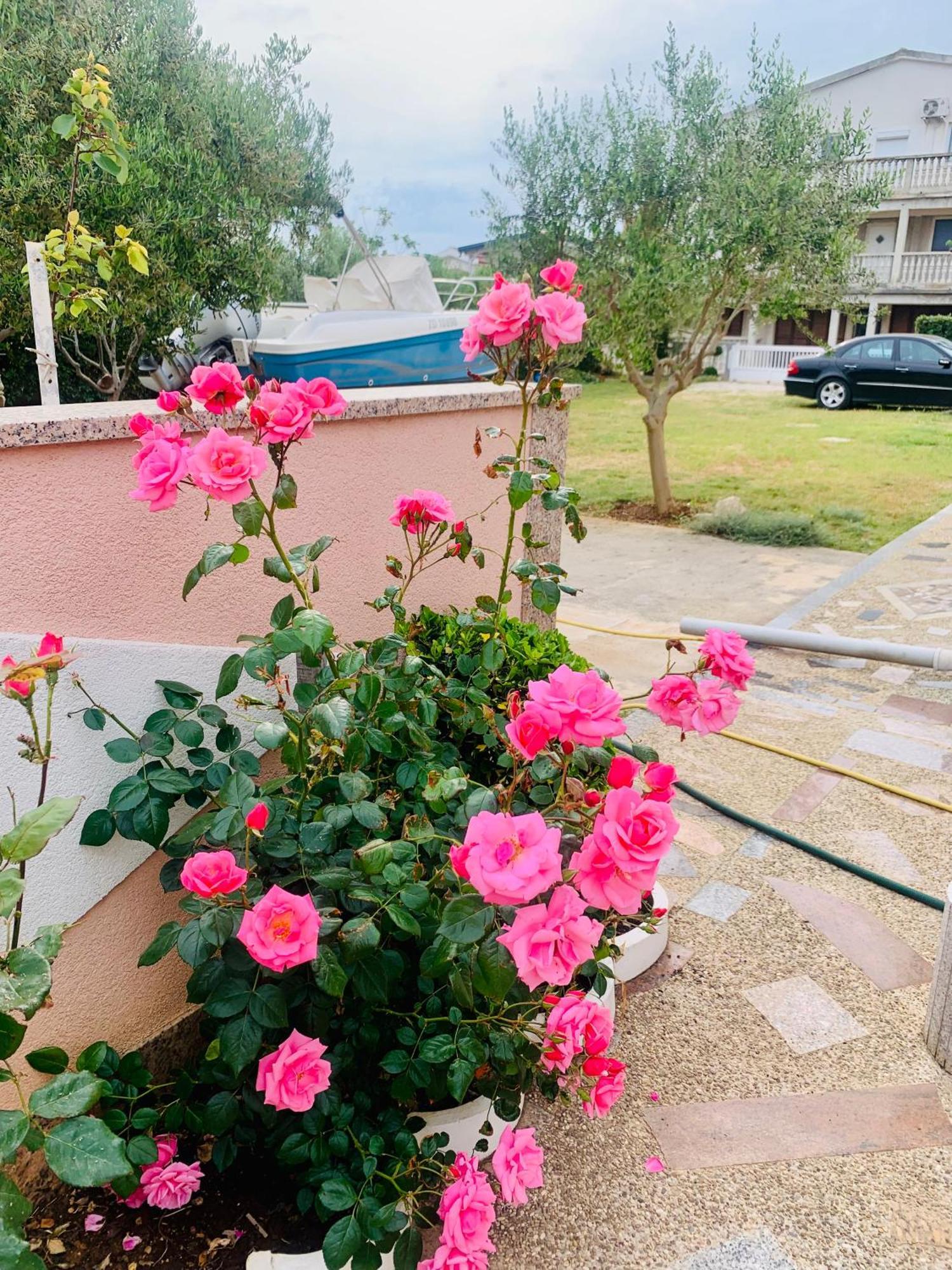 Apartments Barbara 111 Вир Екстер'єр фото